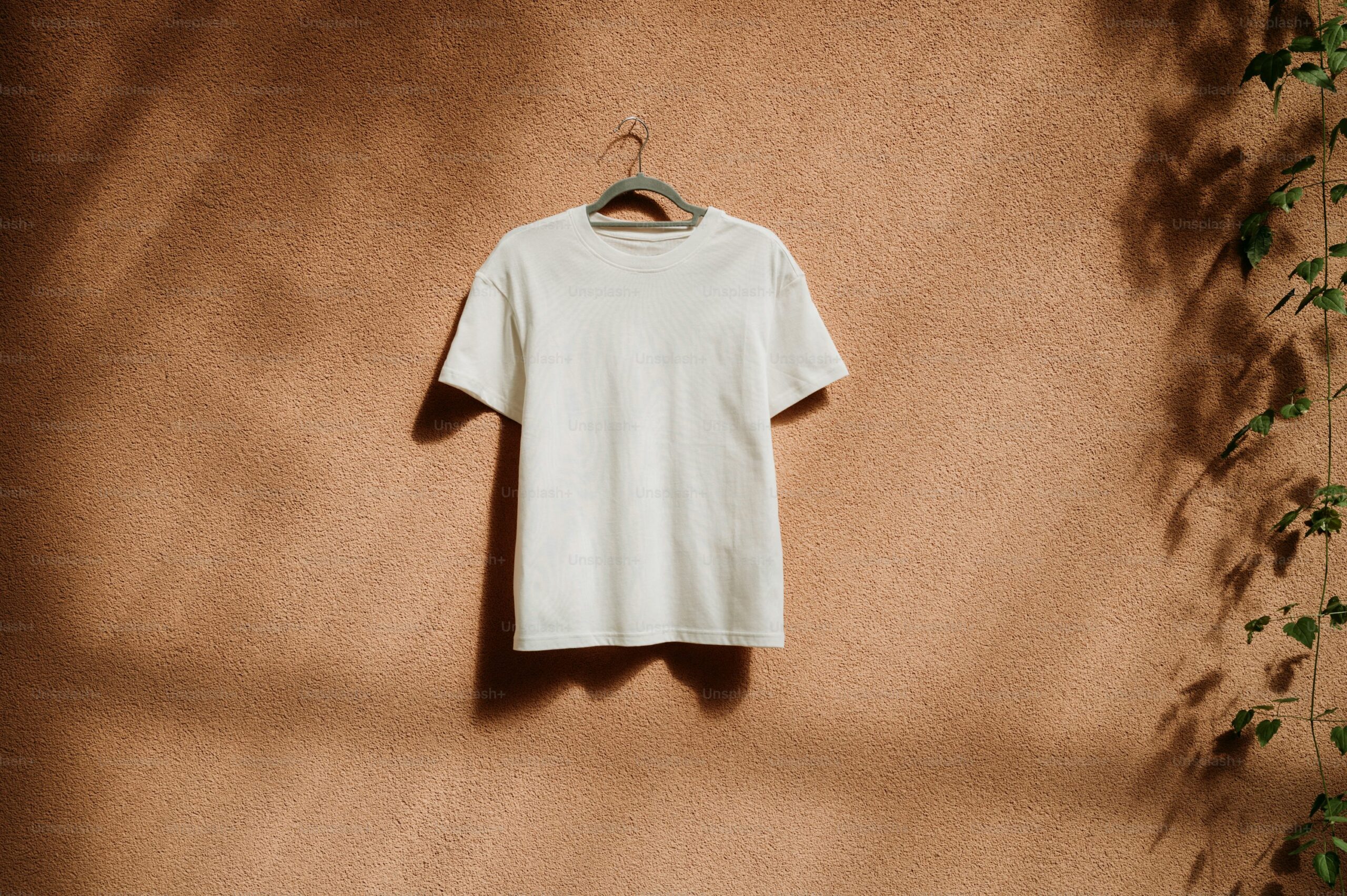 premium_photo-1718913936342-eaafff98834b